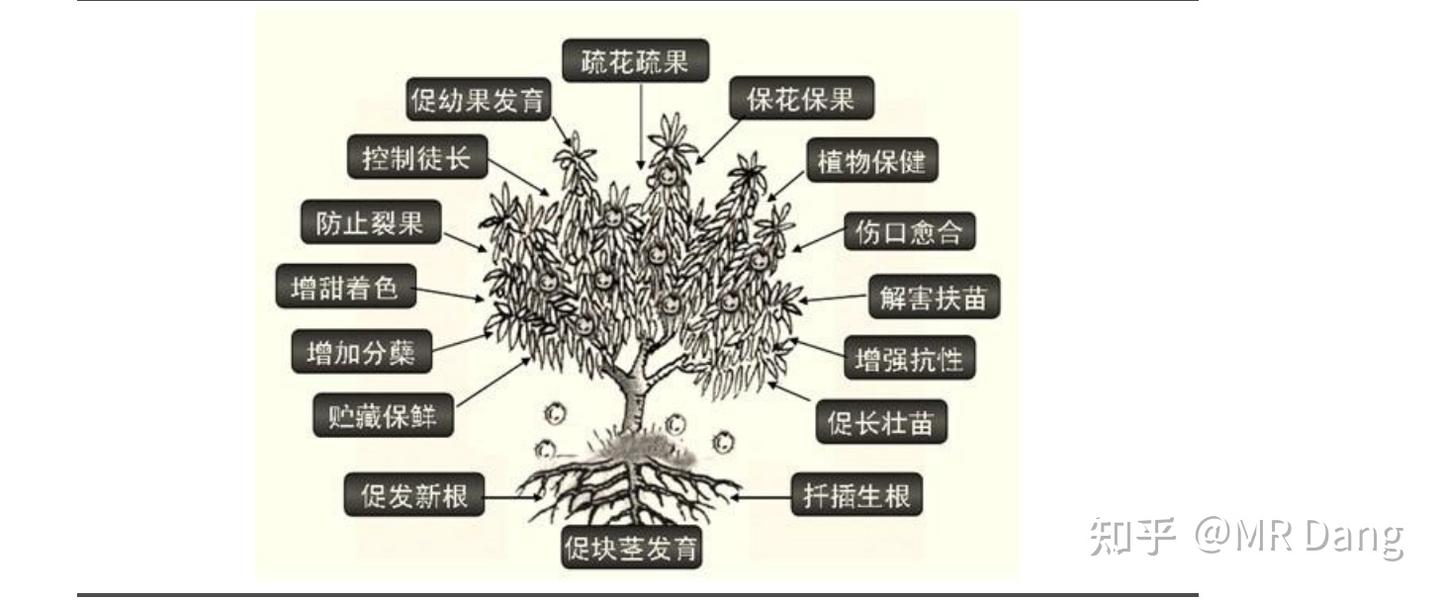 《玄阶功法卷一》农业茅台GGGF投资价值分析'